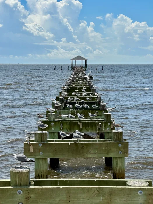 iPhone-14-Pro-pier-1