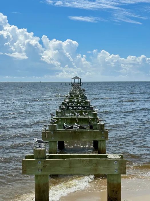 iPhone-14-Pro-pier-4