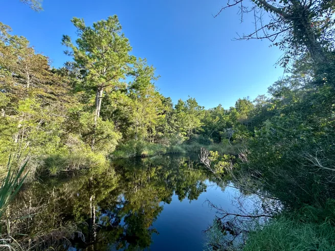 iPhone-14-Pro-reflection-1