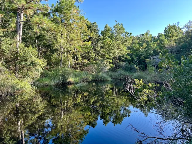 iPhone-14-Pro-reflection-2