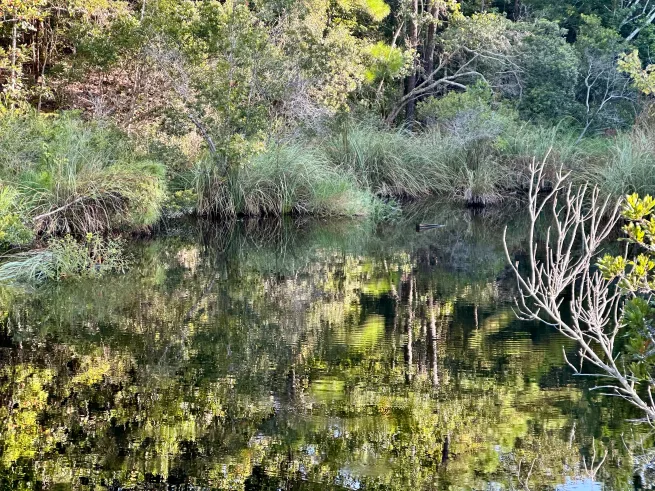 iPhone-14-Pro-reflection-3