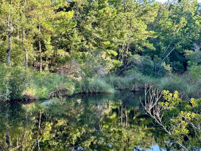 iPhone-14-Pro-reflection-4