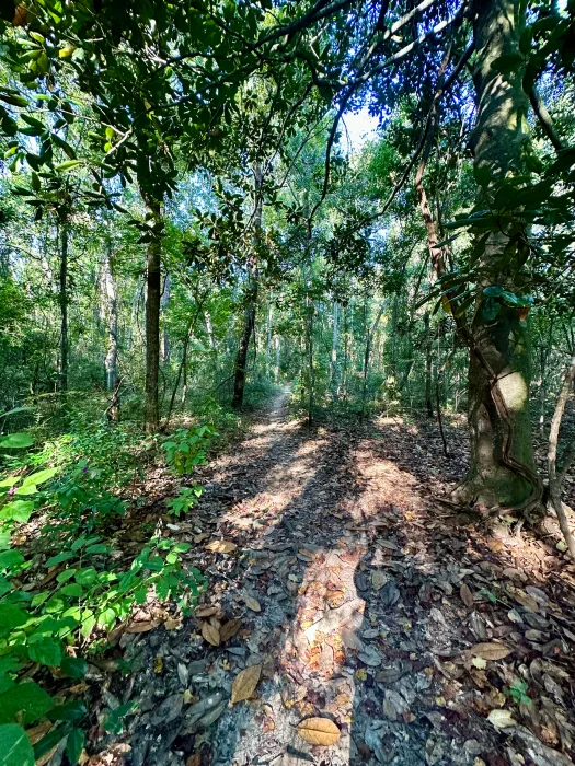 iPhone-14-Pro-trail-2