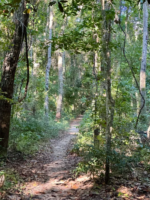 iPhone-14-Pro-trail-3