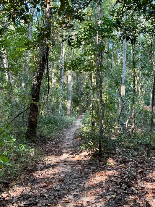 iPhone-14-Pro-trail-4