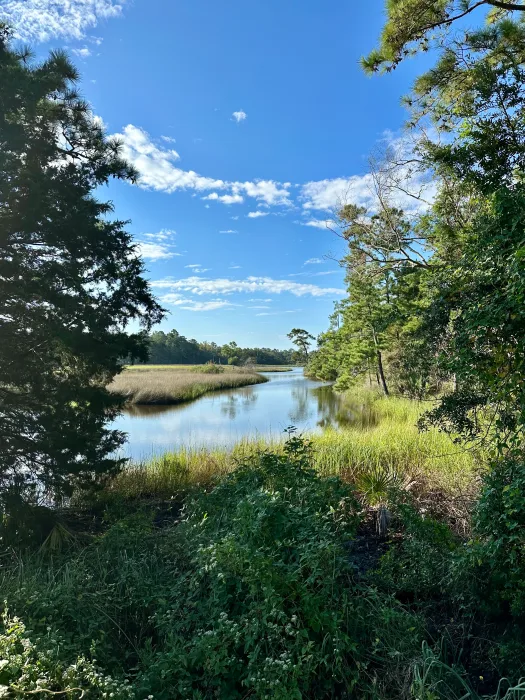 iPhone-14-Pro-wetlands-2