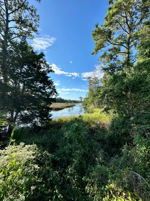 iPhone-14-Pro-wetlands-3