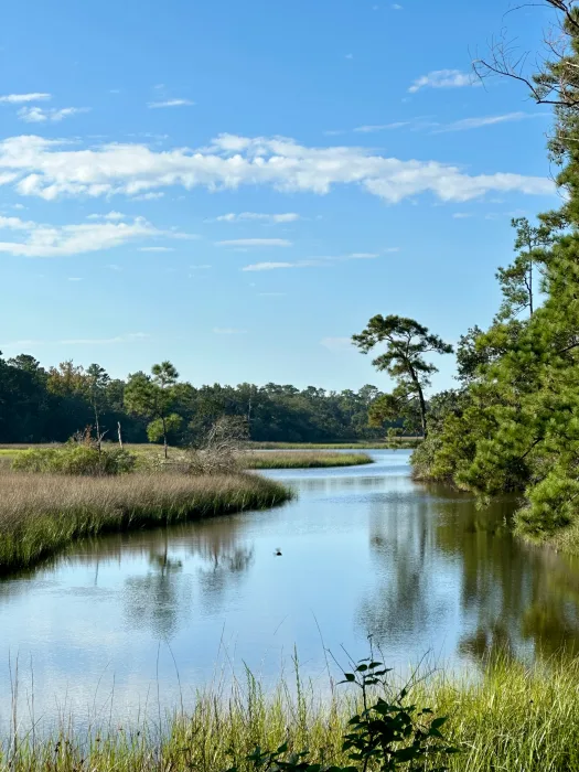 iPhone-14-Pro-wetlands-4