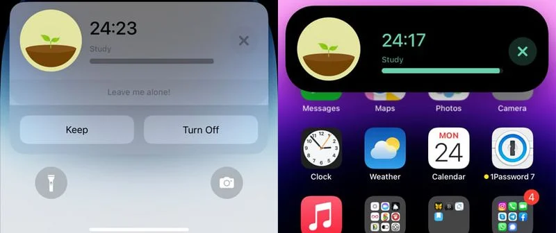 forest-live-activities