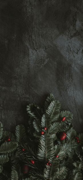 Christmas-evergreen-iPhone-wallpaper — крупный размер