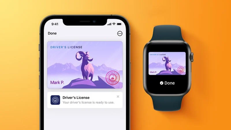 apple-wallet-drivers-license-feature