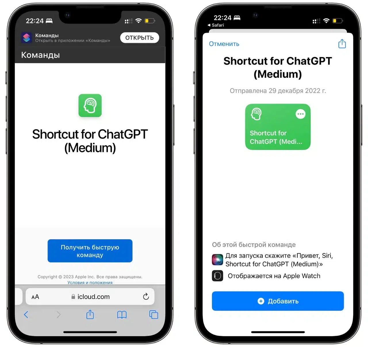 chatgpt на iphone, 08 февр. 2023 22:40:40 — крупный размер