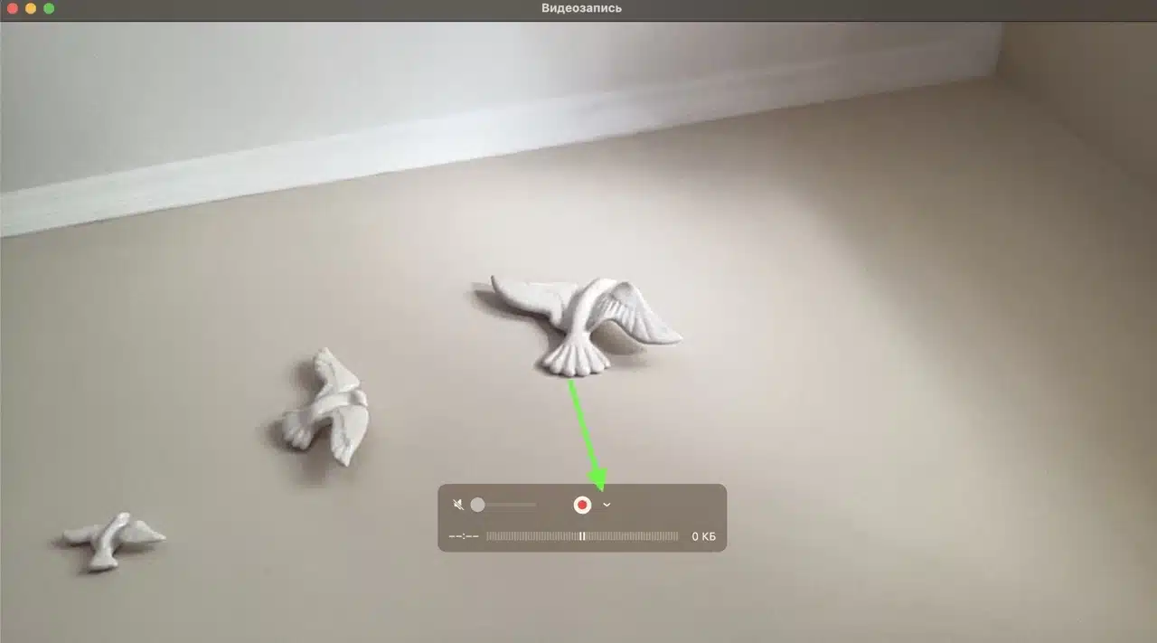 выбор источника захвата quicktime player — крупный размер