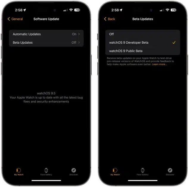 beta-updates-watchos-9-5