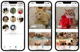 ios-17-домашние животные