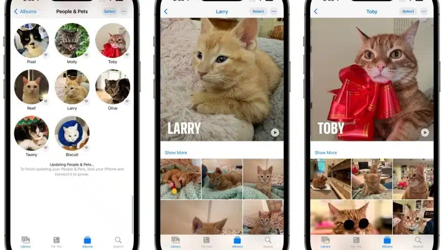 ios-17-домашние животные