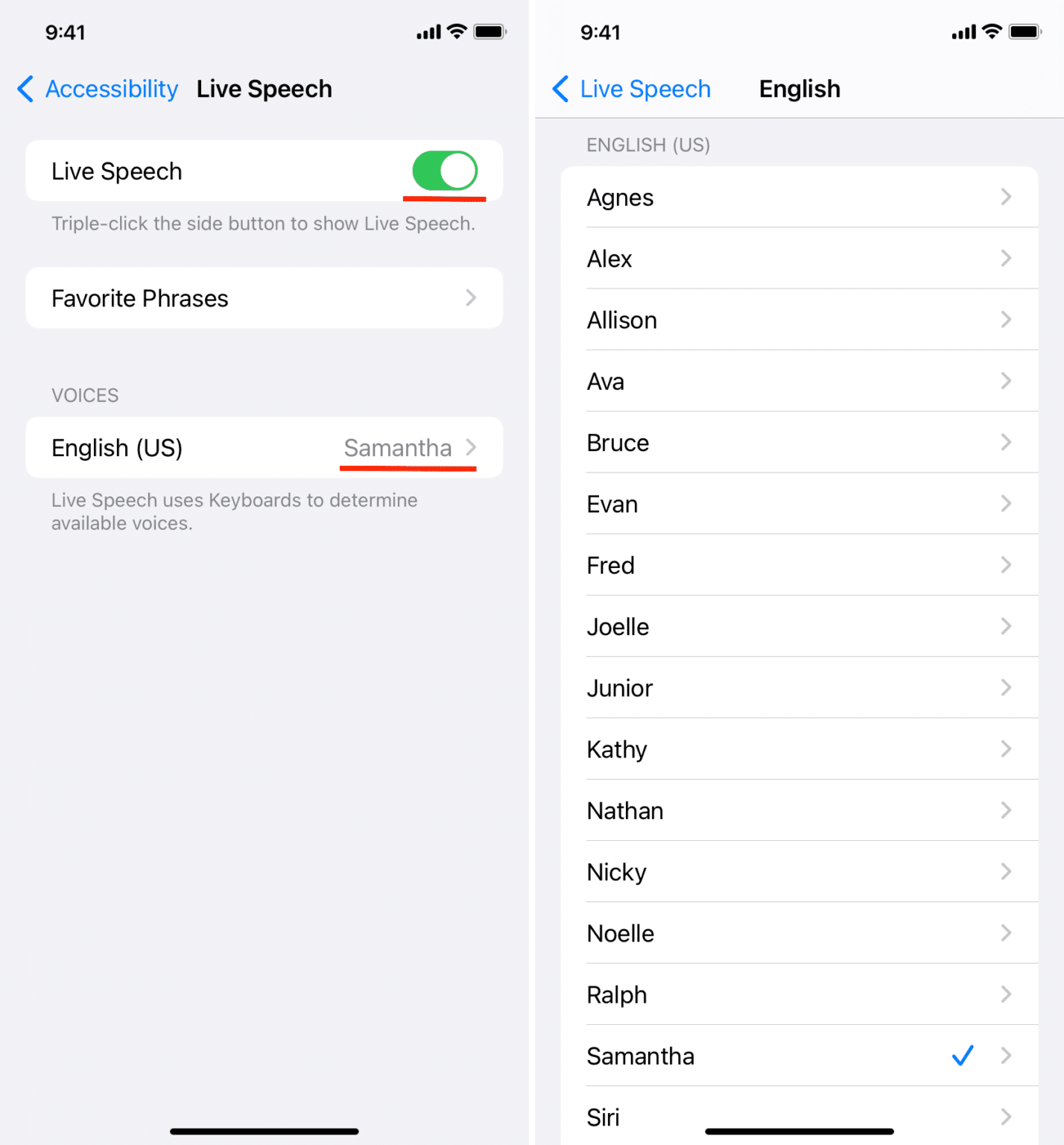 Turn-on-Live-Speech-on-iPhone-and-select-its-Voice-1428×1536