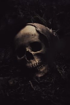 Skull-by-Jon-Butterworth