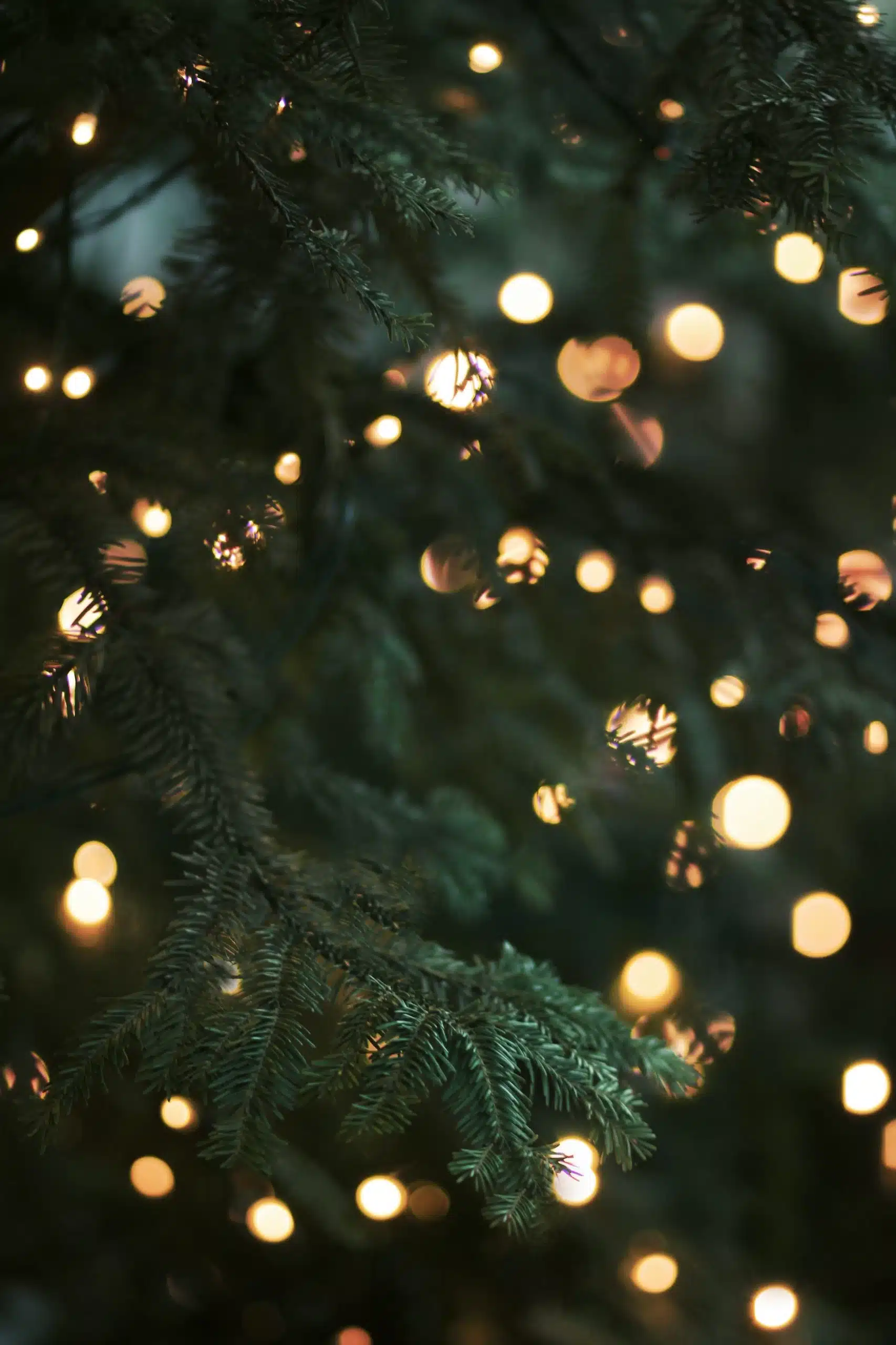 Christmas-tree-bokeh-by-Morgane-Le-Breton-wallpaper