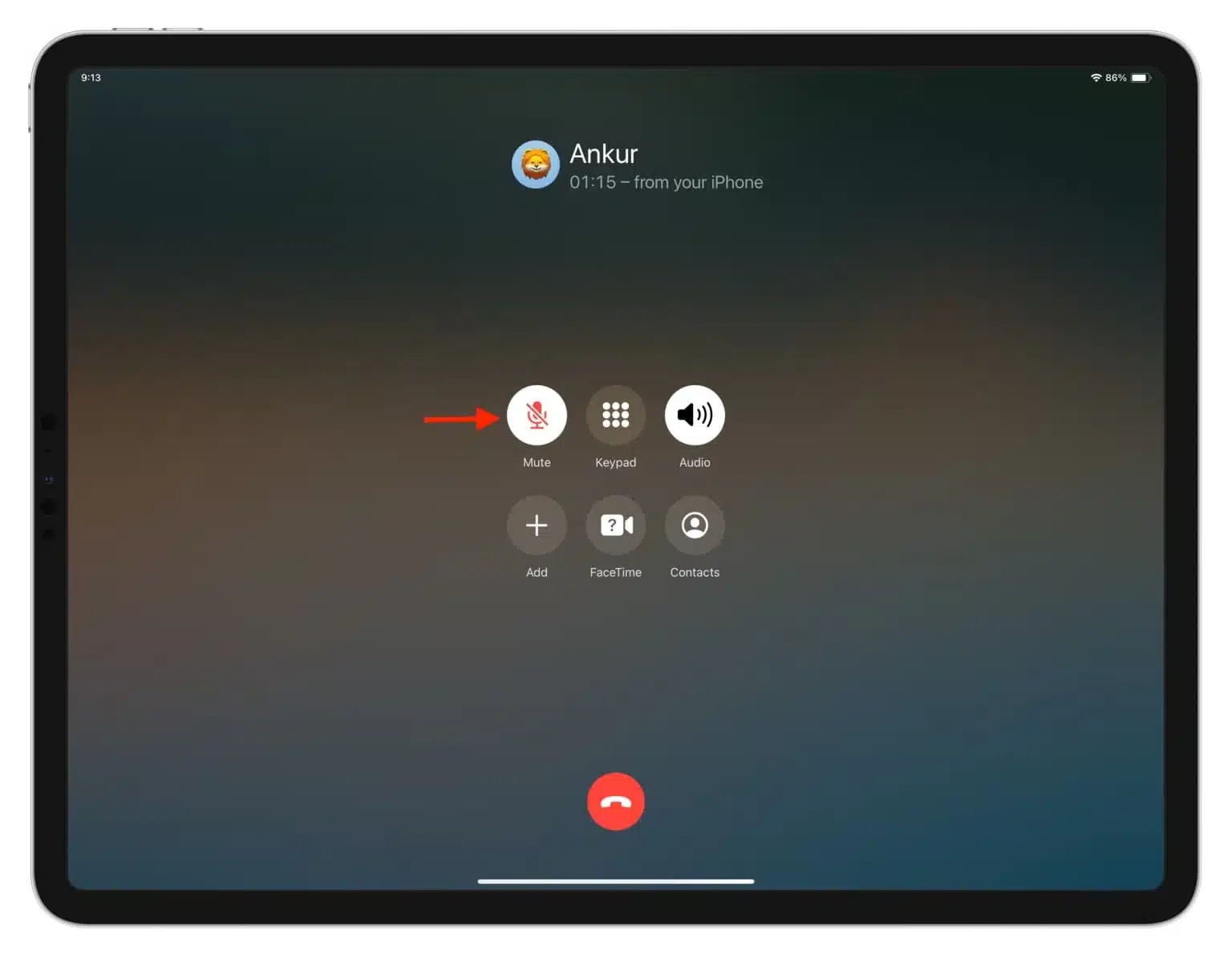 Mute-phone-calls-on-iPad
