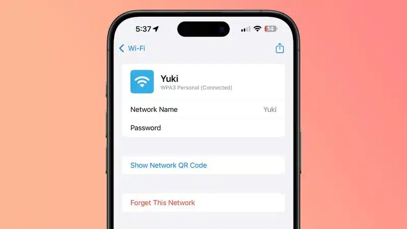 ios-18-passwords-app-wifi
