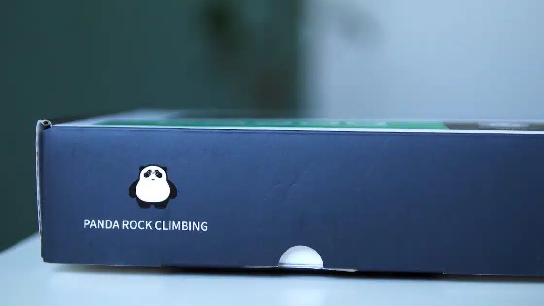 panda rock climbing