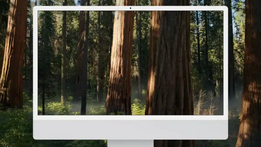 macos-sequoia-wallpaper