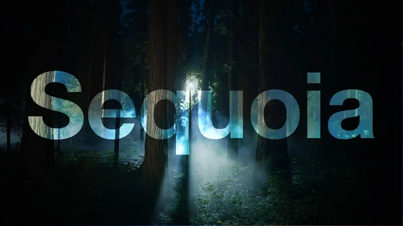 macOS-Sequoia-Night-Feature
