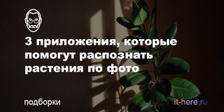 3 приложения, которые помогут распознать растения по фото