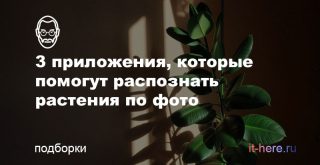3 приложения, которые помогут распознать растения по фото